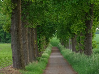 Wanderweg