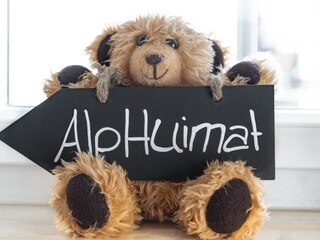 Appartamento per vacanze Oberstdorf Caratteristiche 11