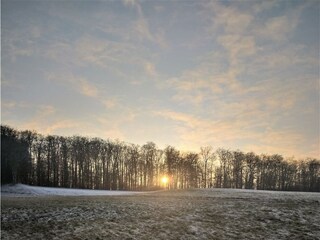Winterimpression auf der Weberhöhe