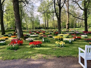gräflicher Park im Frühling