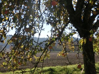 Appartamento per vacanze Maroldsweisach Ambiente 27