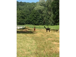 Apartamento de vacaciones Maroldsweisach Grabación al aire libre 5