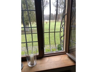 Apartamento de vacaciones Maroldsweisach Grabación al aire libre 6