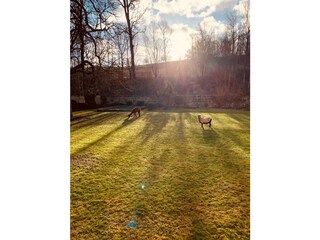 Appartamento per vacanze Maroldsweisach Registrazione all'aperto 14