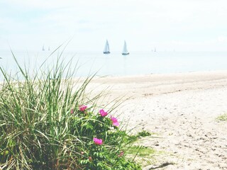 Der schöne Ostseestrand ganz in Ihrer Nähe