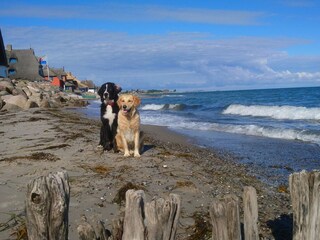 Appartamento Heiligenhafen Registrazione all'aperto 11