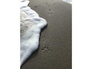 Appartamento Heiligenhafen Ambiente 48