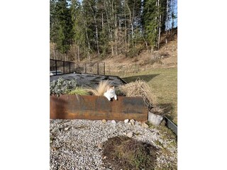 Appartamento per vacanze Grundlsee Registrazione all'aperto 7