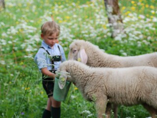 Appartamento per vacanze Grundlsee Ambiente 22