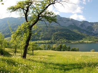 Appartamento per vacanze Grundlsee Ambiente 25