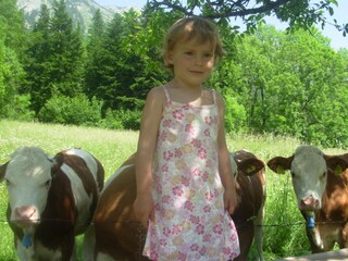 Appartamento per vacanze Grundlsee Registrazione all'aperto 4