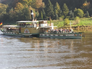 Raddampfer auf der Elbe