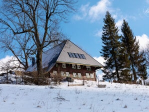 Ferienwohnung Feißesberghof Lasse - Triberg - image1