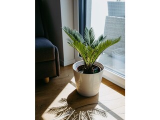 Sonnenweg Apartments Rust_032©Burgenland Tourismus