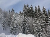 Winterlandschaft