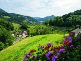 Ausblick vom Balkon