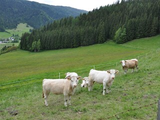 Casa per le vacanze Gnesau Ambiente 28