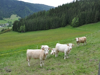 Vakantiehuis Gnesau Omgeving 28