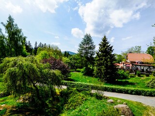 Vakantiehuis Schierke Omgeving 24