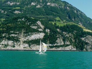 Urnersee