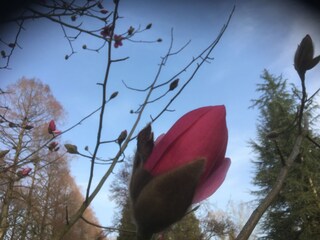 Im Überlinger Stadtgarten