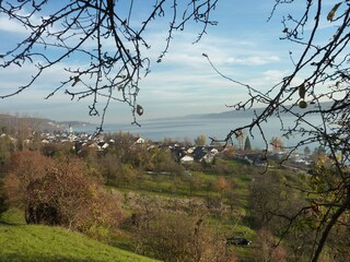 Wanderweg Nähe Wohnung 1