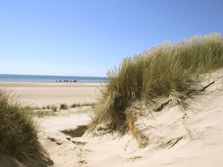 Strandtag in Dänemark