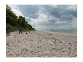 Gross Schwansee - Blick auf den Strand in Richtung TravemÃ¼nde