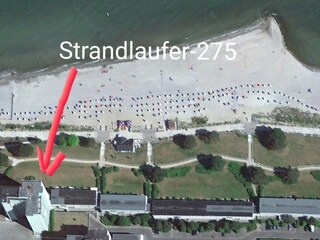 Strandlaeufer-275 :  Der Beweis - eineLage wie erträumt