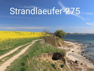 Strandlaeufer-275 : Jede Menge herrlicher Spazierwege !