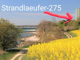 Strandlaeufer-275 :  Spazierwege am Meer ab Haustür !