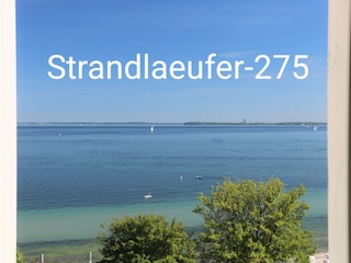 Strandlaeufer-275 : Blick aus dem Schlafzimmerfenster !