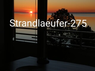 Strandlaeufer-275 : Erlebnis Sonnenaufgang ( 8.3.2022 )