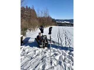 Vom KlitzeKlein direkt in die Natur