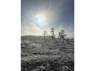 Kahler Asten, Winterlandschaft