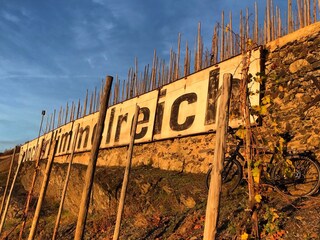 Appartamento per vacanze Zeltingen-Rachtig Ambiente 24