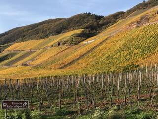 Appartamento per vacanze Zeltingen-Rachtig Ambiente 29