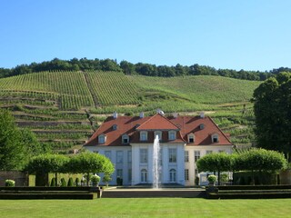 Schloss Wackerbarth Staatsweingut