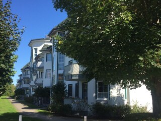 Haus Eingang im Grünen