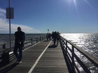 Die Bäderschiffe fahren in andere Orte an der Bucht