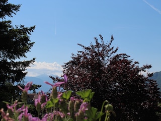 Ausblick vom Balkon