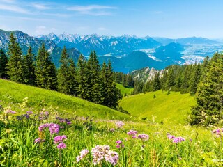 Allgäu