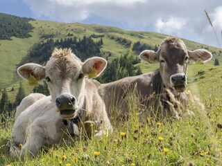 Allgäu