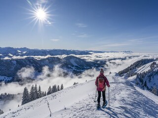 Allgäu