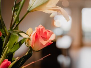 Appartamento per vacanze Westerland (Wieringen) Caratteristiche 12