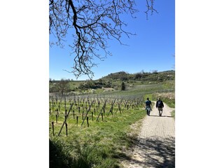 Appartamento per vacanze Eichstetten Ambiente 20