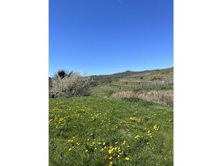 Appartamento per vacanze Eichstetten Ambiente 29