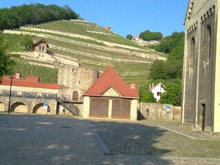 Blick zum Schlifterweinberg