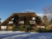 Atriumhaus mit Wohnung Halligflieder im Winter