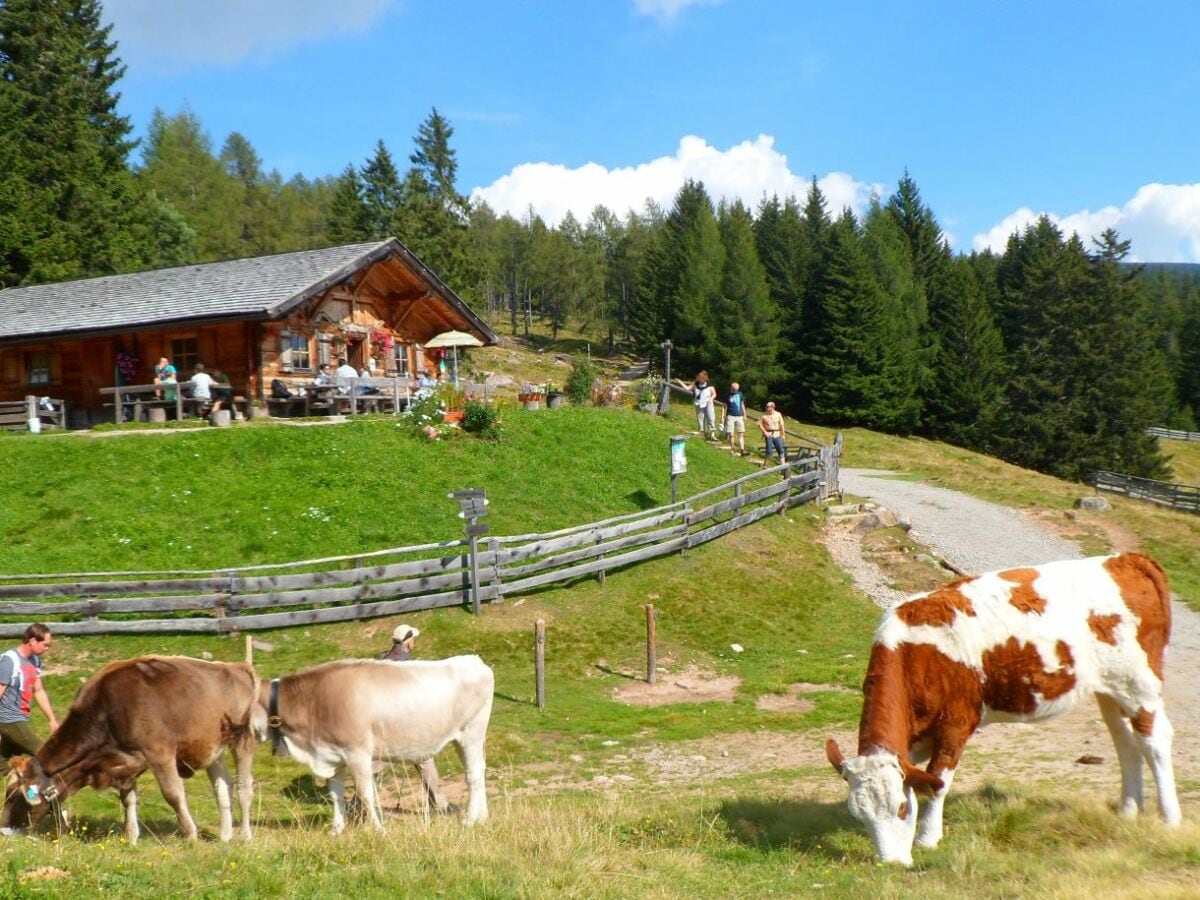 Ferienwohnung Hafling Umgebung 17